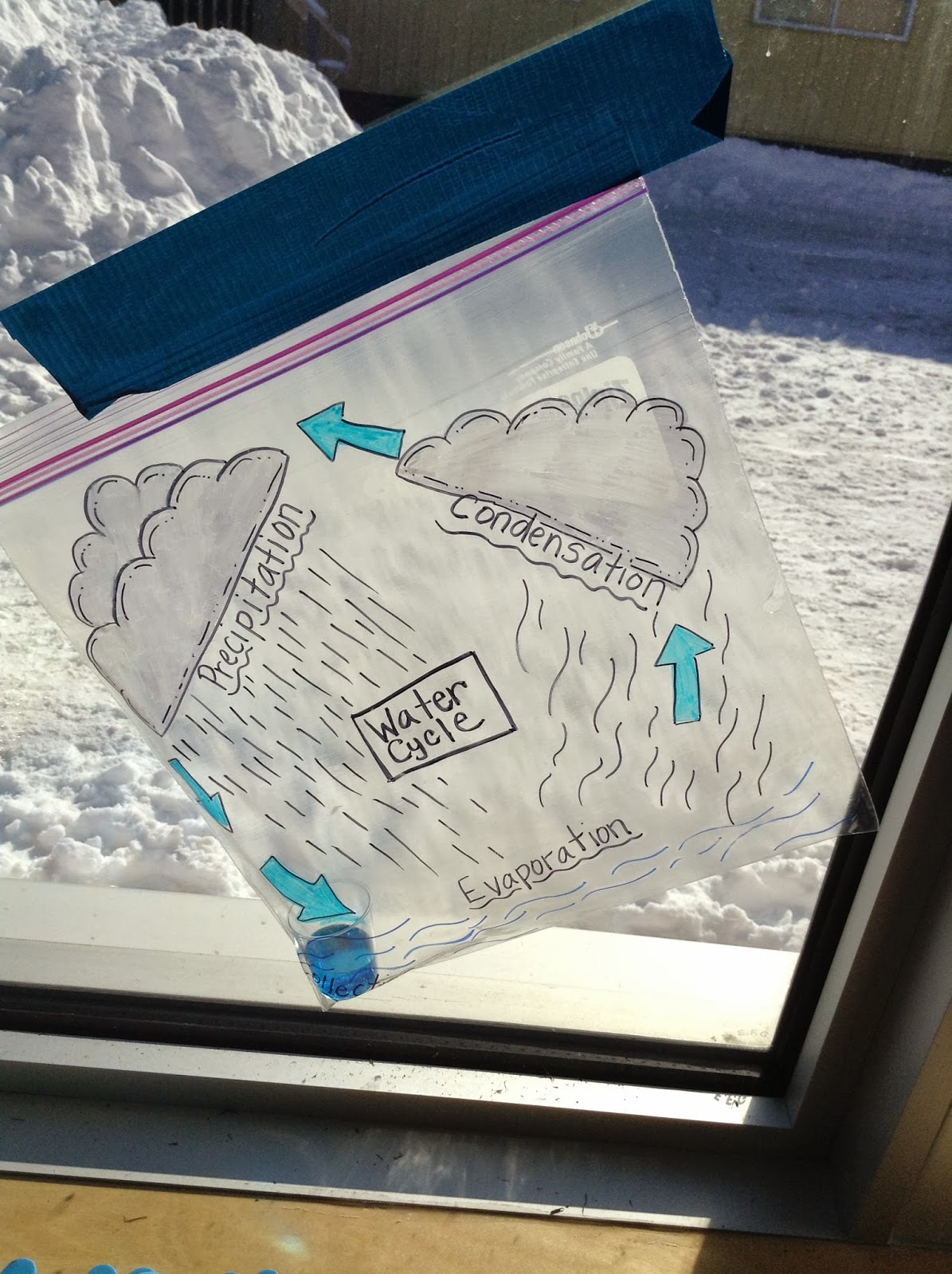 Mrs. Addison Water Cycle in a Bag